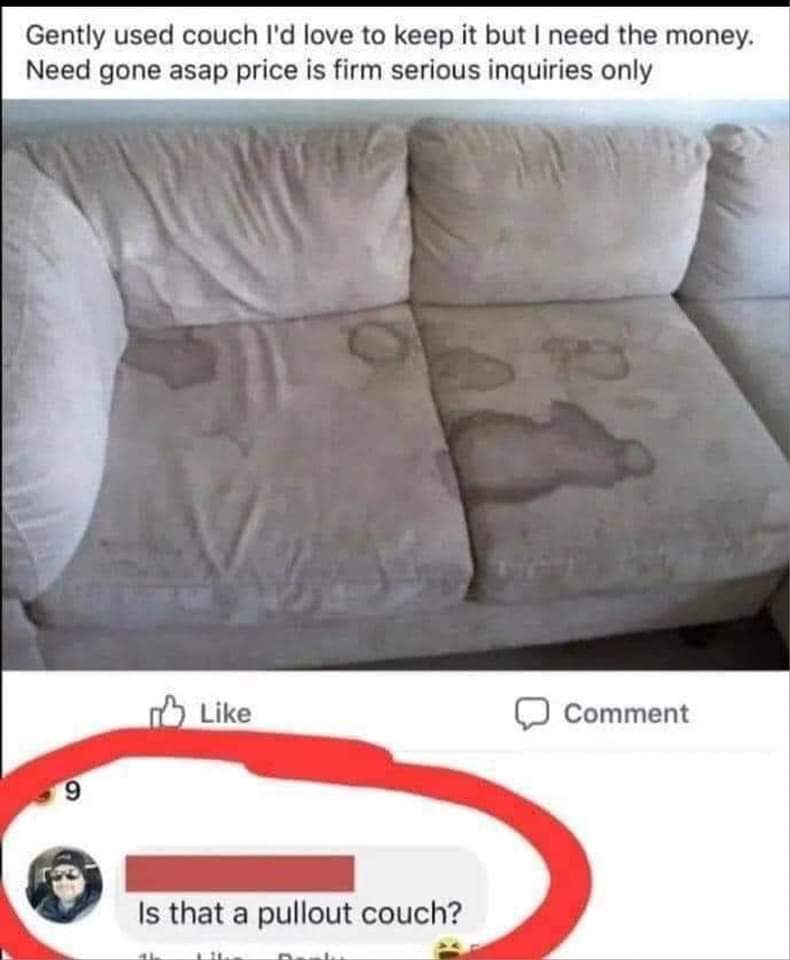 Pull Out Couch