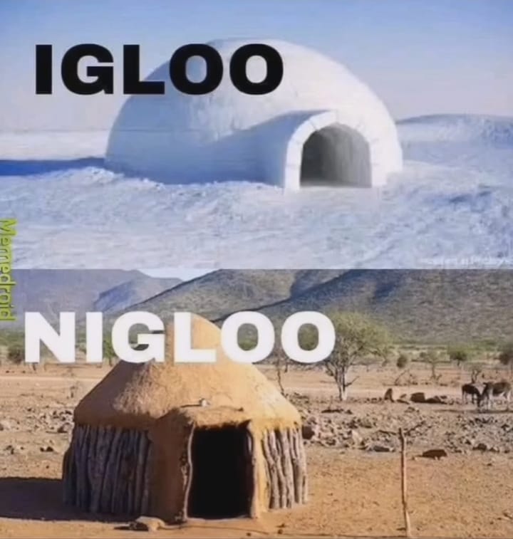 Igloo